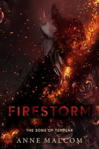 Firestorm book cover
