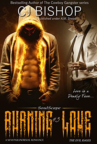 Burning Love book cover