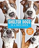 Shelter Dogs In A Photo Booth English Edition