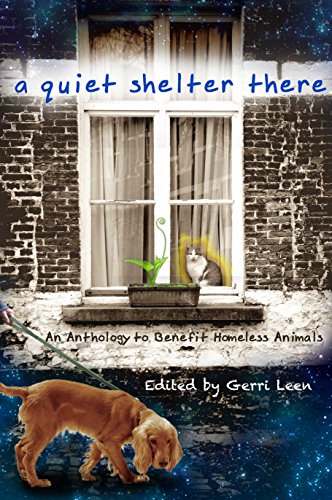 A Quiet Shelter There book cover