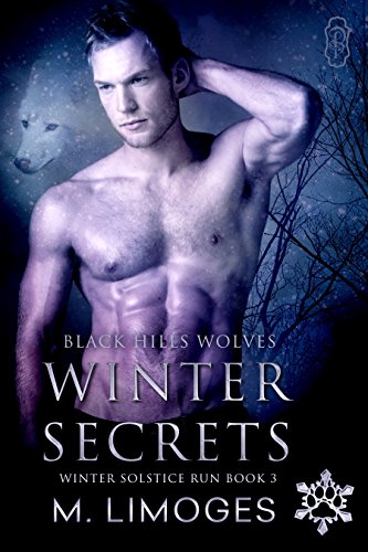 Winter Secrets book cover