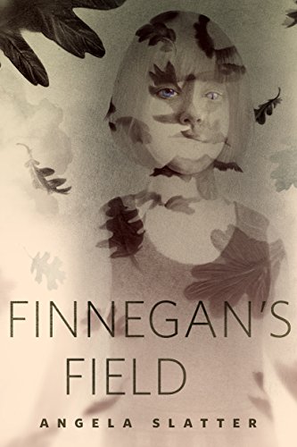 Finnegan's Field book cover