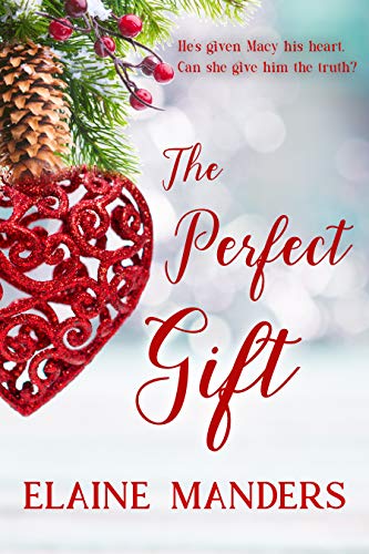 The Perfect Gift book cover