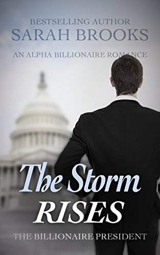 The Storm Rises book cover