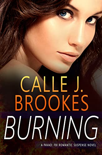 Burning book cover
