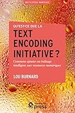 Questce Que La Text Encoding Initiative Encyclopdie Numrique T 5