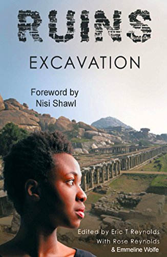 Ruins Excavation cover