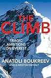 The Climb Tragic Ambitions On Everest English Edition