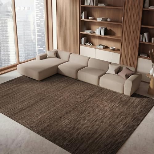 SAFAVIEH Area Rug 8x10 - Vision Collection - Large - Brown, Modern Ombre Tonal Chic Design, Non-Shedding & Easy Cleaning, Ideal for Living Room, Bedroom, Office, Dining Space (VSN606E)