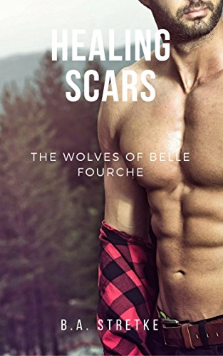Healing Scars book cover