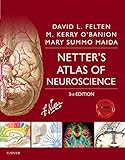 Netters Atlas Of Neuroscience Ebook Netter Basic Science English Edition