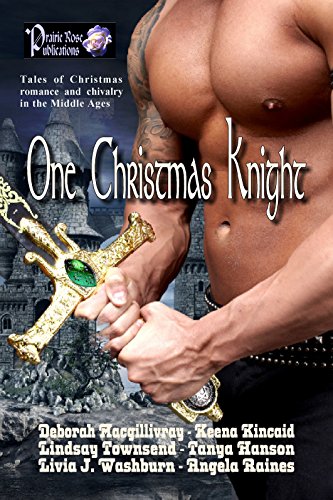 One Christmas Knight book cover
