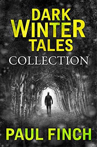 Dark Winter Tales book cover