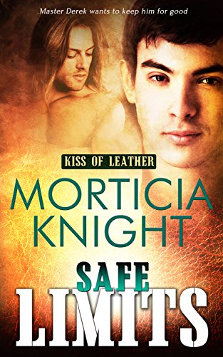 Safe Limits book cover