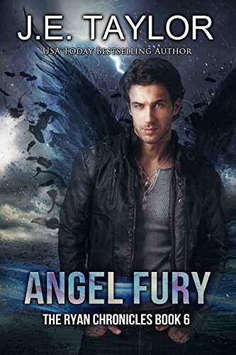 Angel Fury book cover