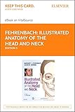 Illustrated Anatomy Of The Head And Neck Ebook English Edition