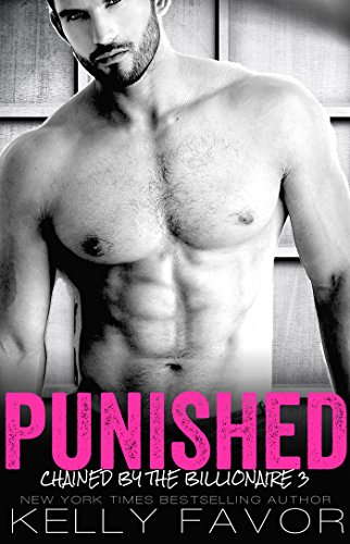 Punished book cover