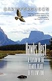 Hawks Rest A Season In The Remote Heart Of Yellowstone