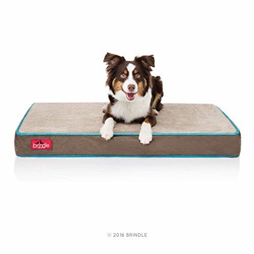 BRINDLE Memory Foam Rectangle Dog Bed with Removable Washable Cover