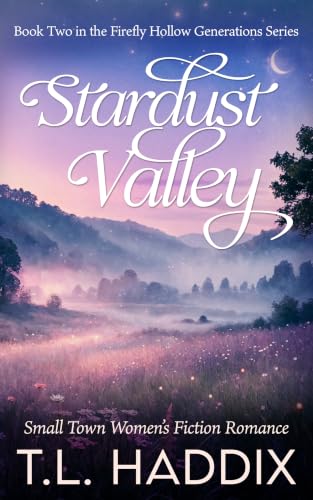 Stardust Valley book cover