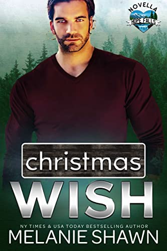 Christmas Wish book cover