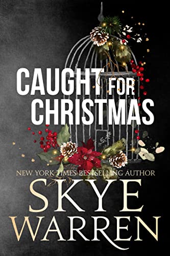 Caught for Christmas book cover