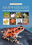 Amphibians Understanding And Caring For Your Amphibian Practical Pets Series Book 4 English Edition