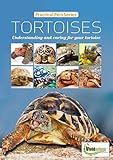 Tortoises Understanding And Caring For Your Tortoise Practical Pets Series Book 3 English Edition