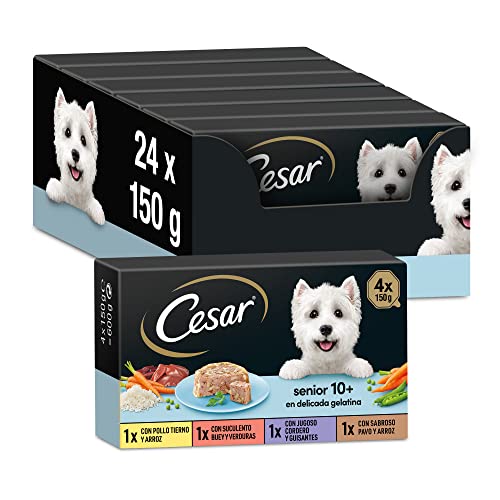 Cesar Comida Húmeda Senior para perros