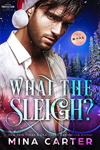 What the Sleigh? book cover