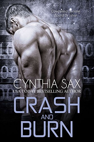 Crash And Burn book cover