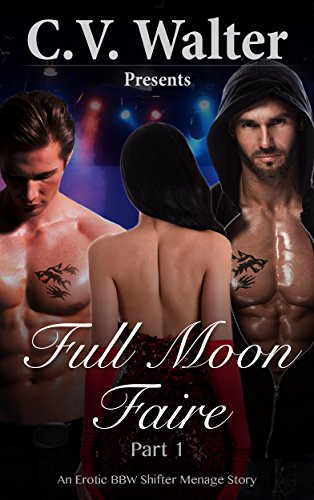 Full Moon Faire book cover