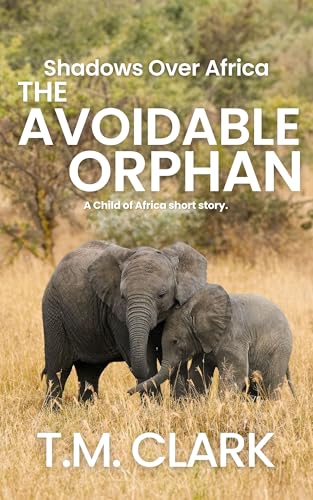 The Avoidable Orphan book cover