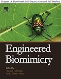 Engineered Biomimicry Chapter 13 Biomimetic Selforganization And Selfhealing English Edition