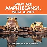 What Are Amphibians What Why 1st Grade Science Series First Grade Books Herpetology Childrens Reptile Amphibian Books