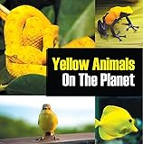Yellow Animals On The Planet Animal Encyclopedia For Kids Colorful Animals On The Planet Book 4