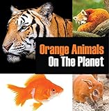Orange Animals On The Planet Animal Encyclopedia For Kids Colorful Animals On The Planet Book 3