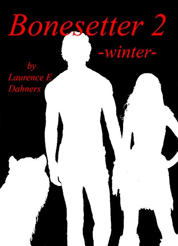 Winter book cover