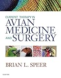 Current Therapy In Avian Medicine And Surgery Ebook English Edition