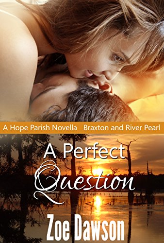 A Perfect Question cover