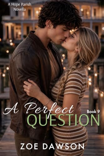 A Perfect Question book cover