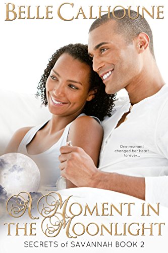 A Moment in the Moonlight book cover