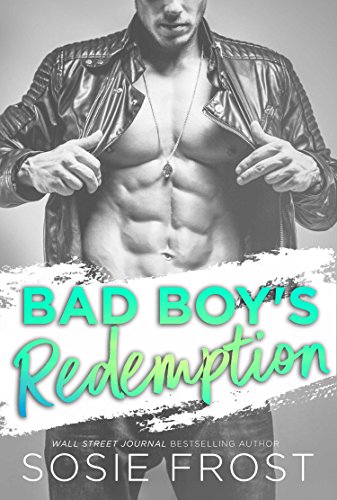 Bad Boy's Revenge book cover