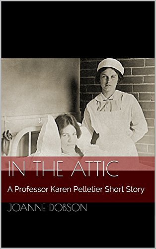 In the Attic book cover