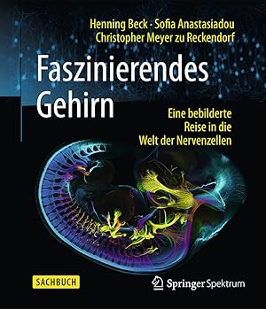 Das Gehirn und seine Krankheiten: Eine Einführung in die Neuropsychologie und Psychiatrie Andreas Meyer-Lindenberg