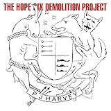 The Hope Six Demolition Project