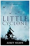 Little Cyclone The Girl Who Started The Comet Line Dialogue Espionage Classics English Edition