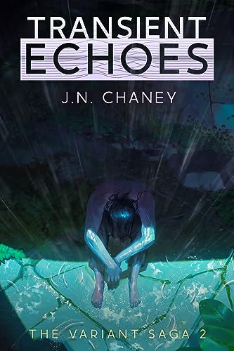 Transient Echoes book cover