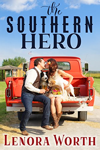 The Southern Hero book cover