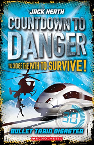 Bullet Train Disaster book cover
